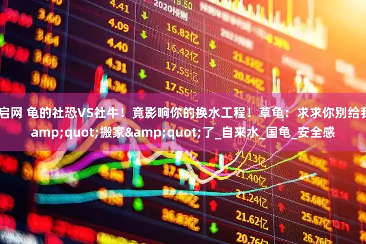 红启网 龟的社恐VS社牛！竟影响你的换水工程！草龟：求求你别给我&quot;搬家&quot;了_自来水_国龟_安全感