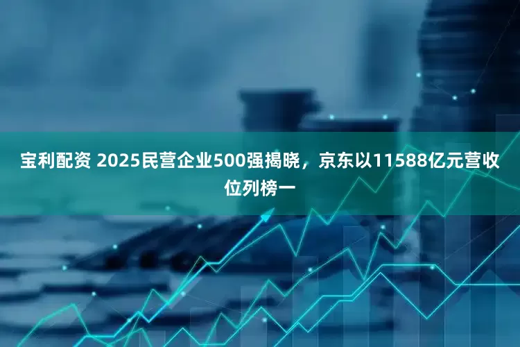 宝利配资 2025民营企业500强揭晓，京东以11588亿元营收位列榜一