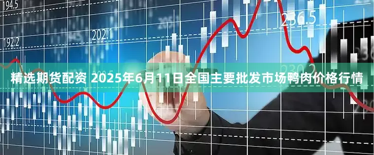 精选期货配资 2025年6月11日全国主要批发市场鸭肉价格行情